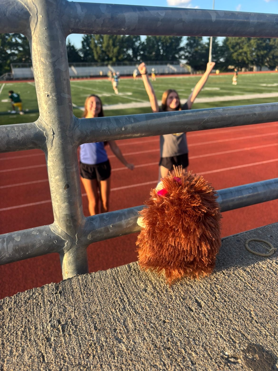 Stuffed animal with Rock Bridge Cheer