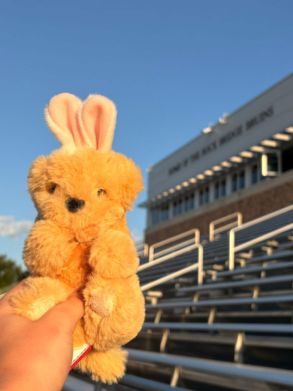 Stuffed animal with Rock Bridge Cheer