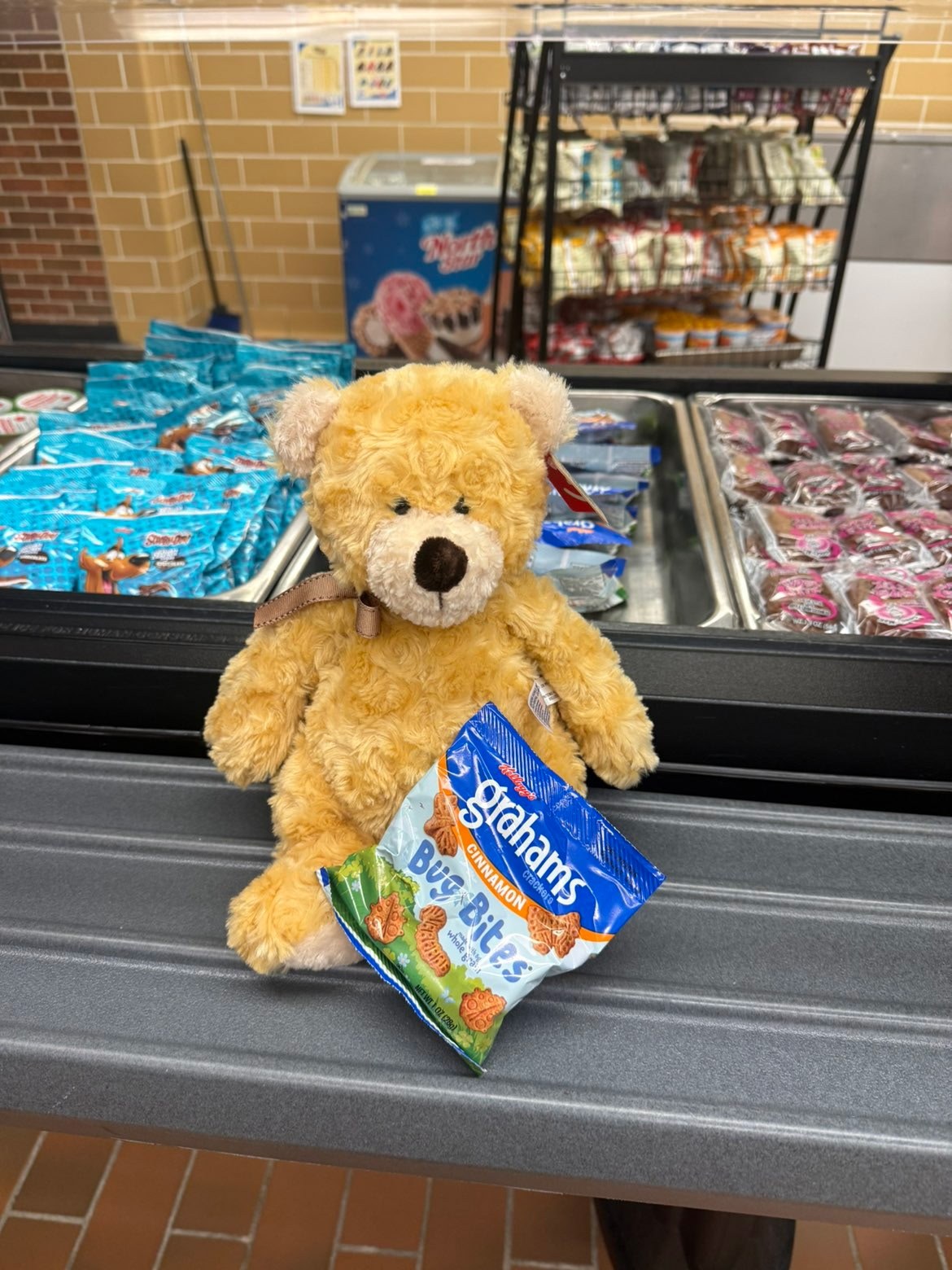 Stuffed animal with Rock Bridge Cheer