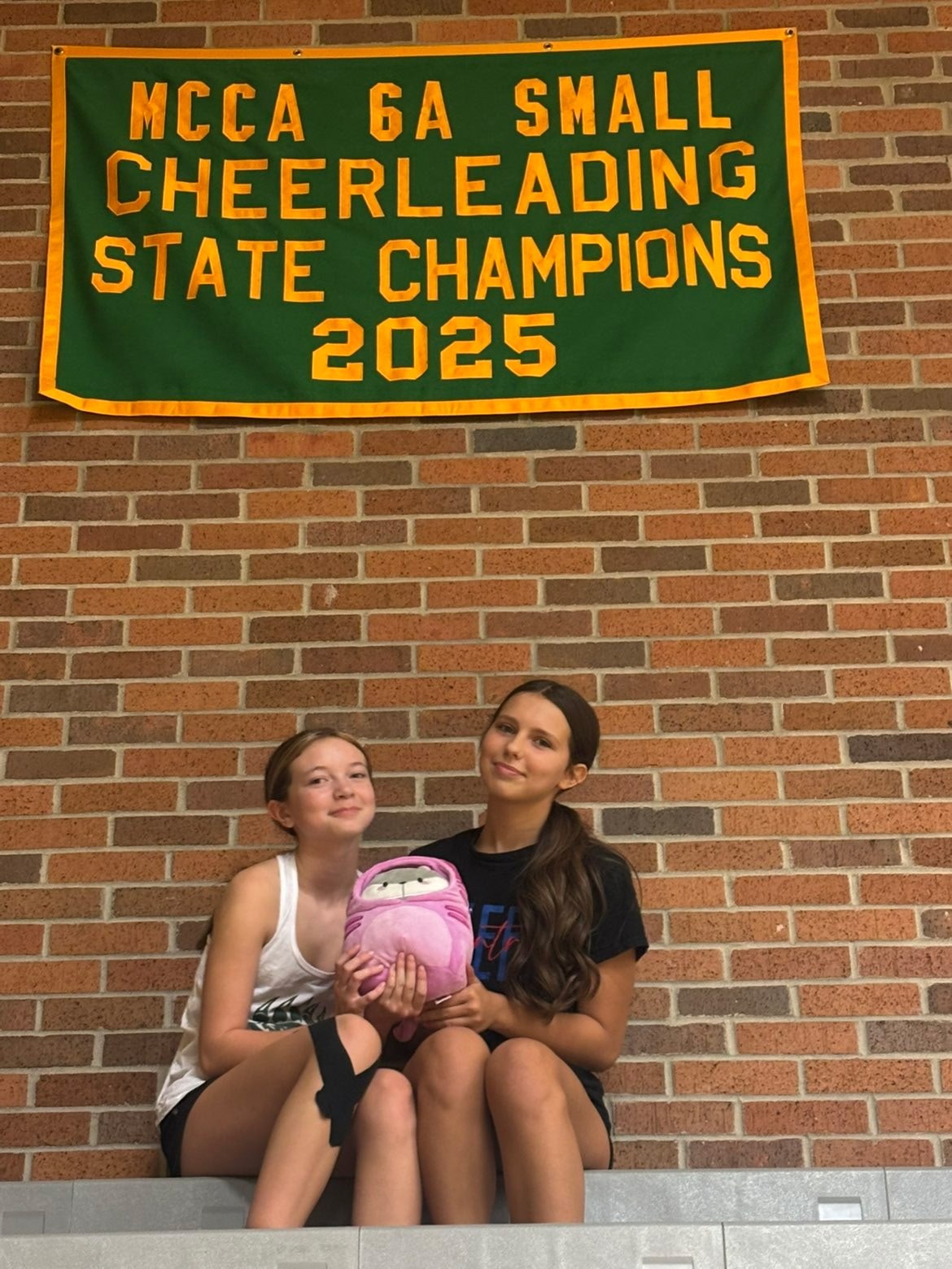 Stuffed animal with Rock Bridge Cheer