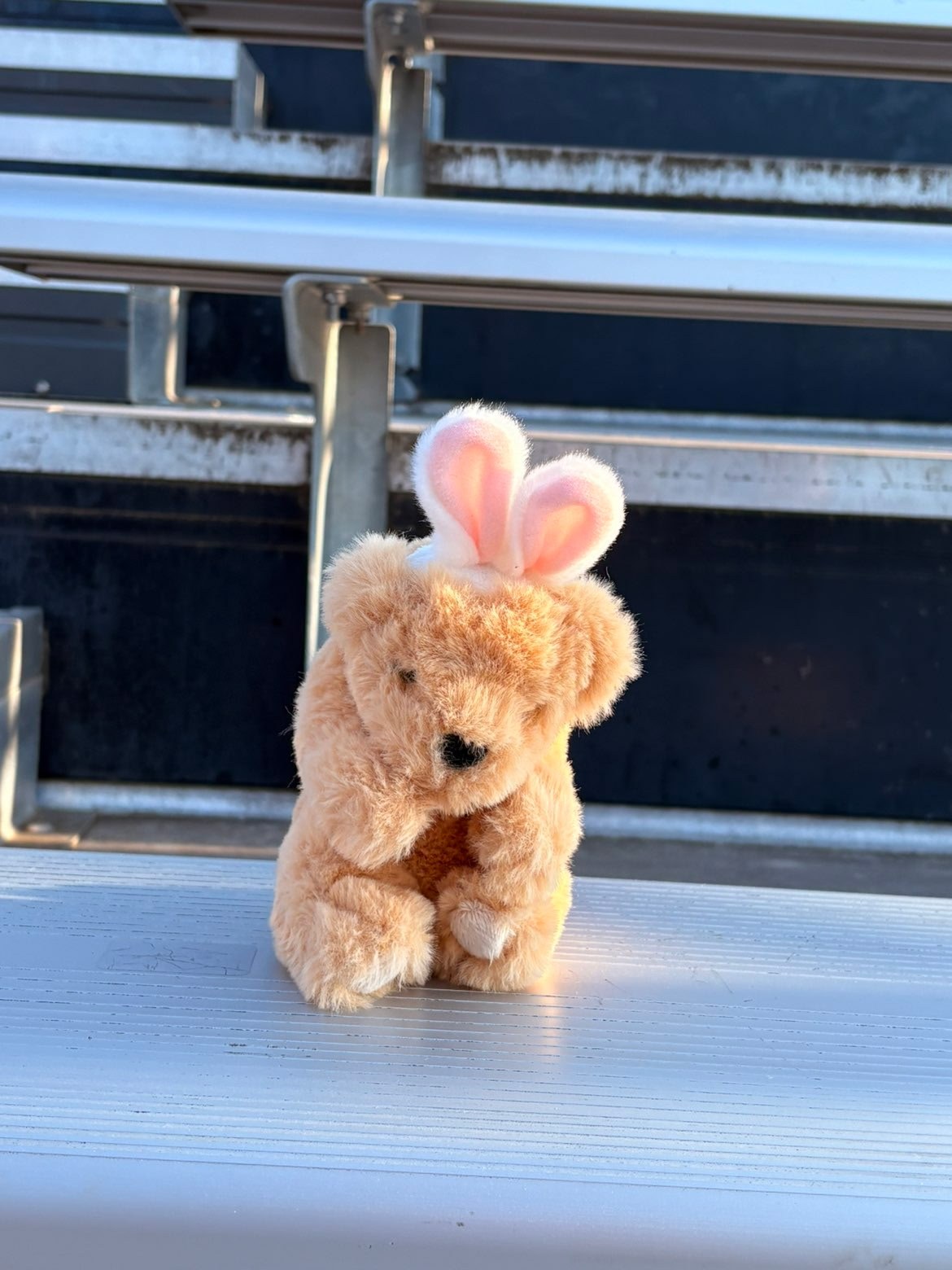 Stuffed animal with Rock Bridge Cheer