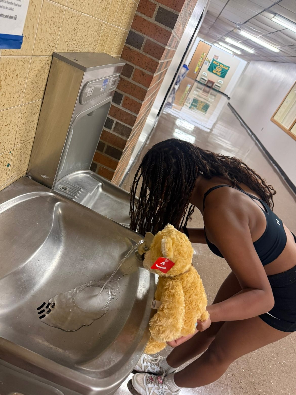 Stuffed animal with Rock Bridge Cheer