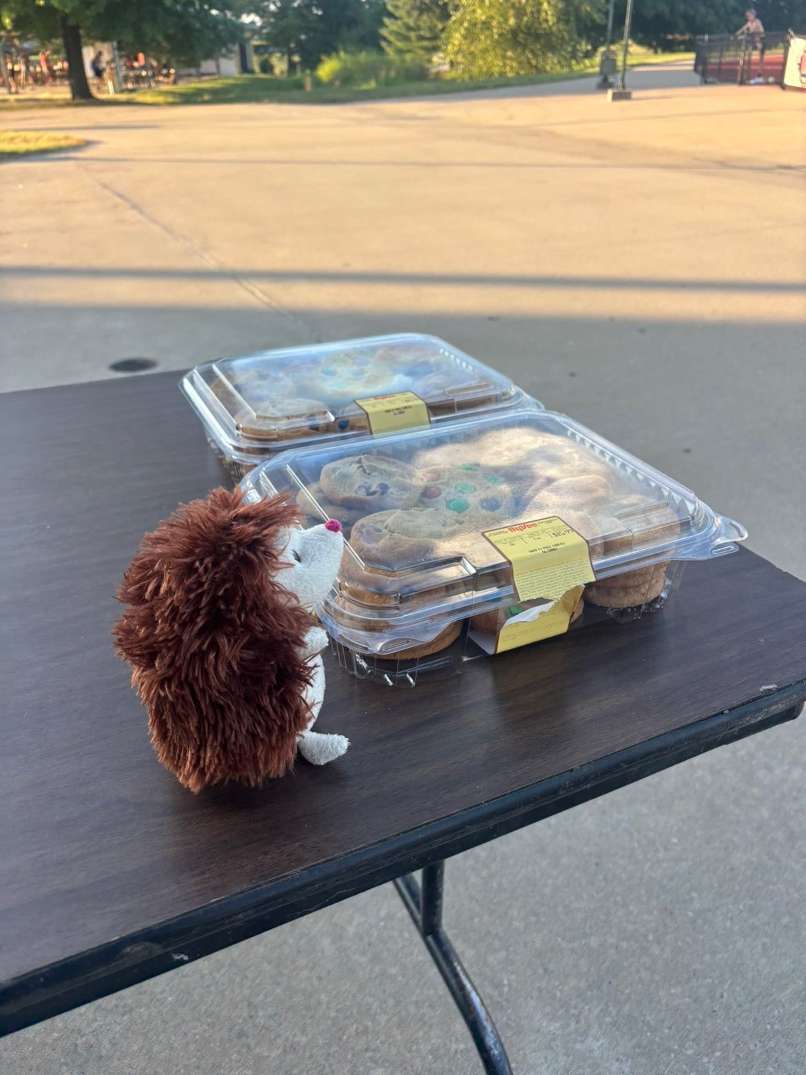Stuffed animal with Rock Bridge Cheer