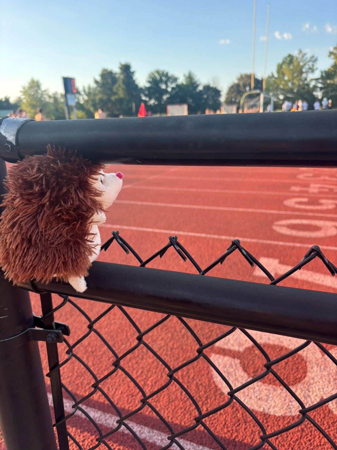 Stuffed animal with Rock Bridge Cheer