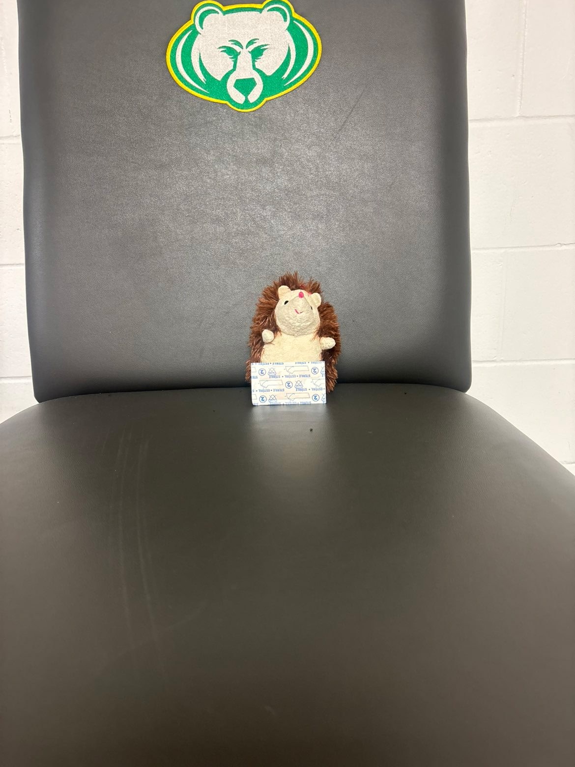 Stuffed animal with Rock Bridge Cheer