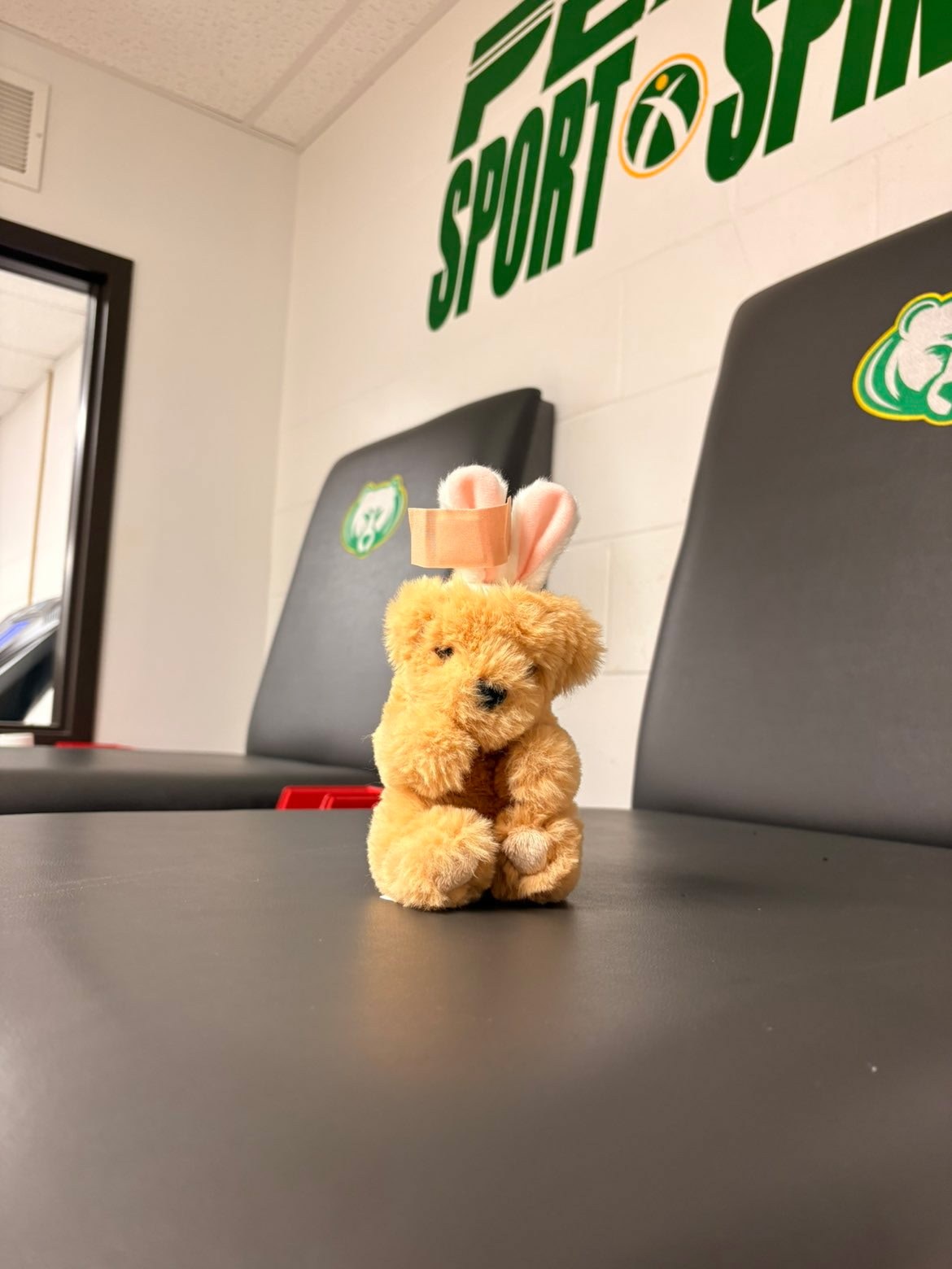 Stuffed animal with Rock Bridge Cheer