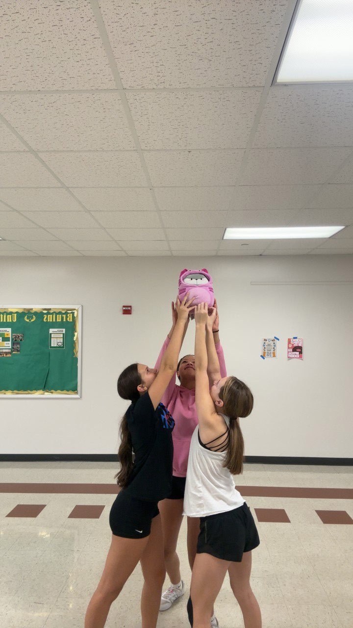 Stuffed animal with Rock Bridge Cheer