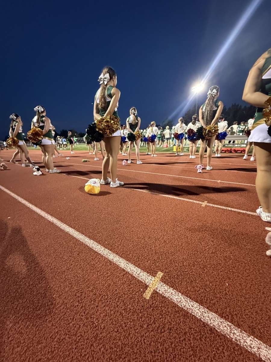 Stuffed animal with Rock Bridge Cheer