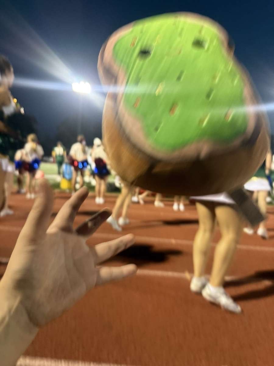 Stuffed animal with Rock Bridge Cheer