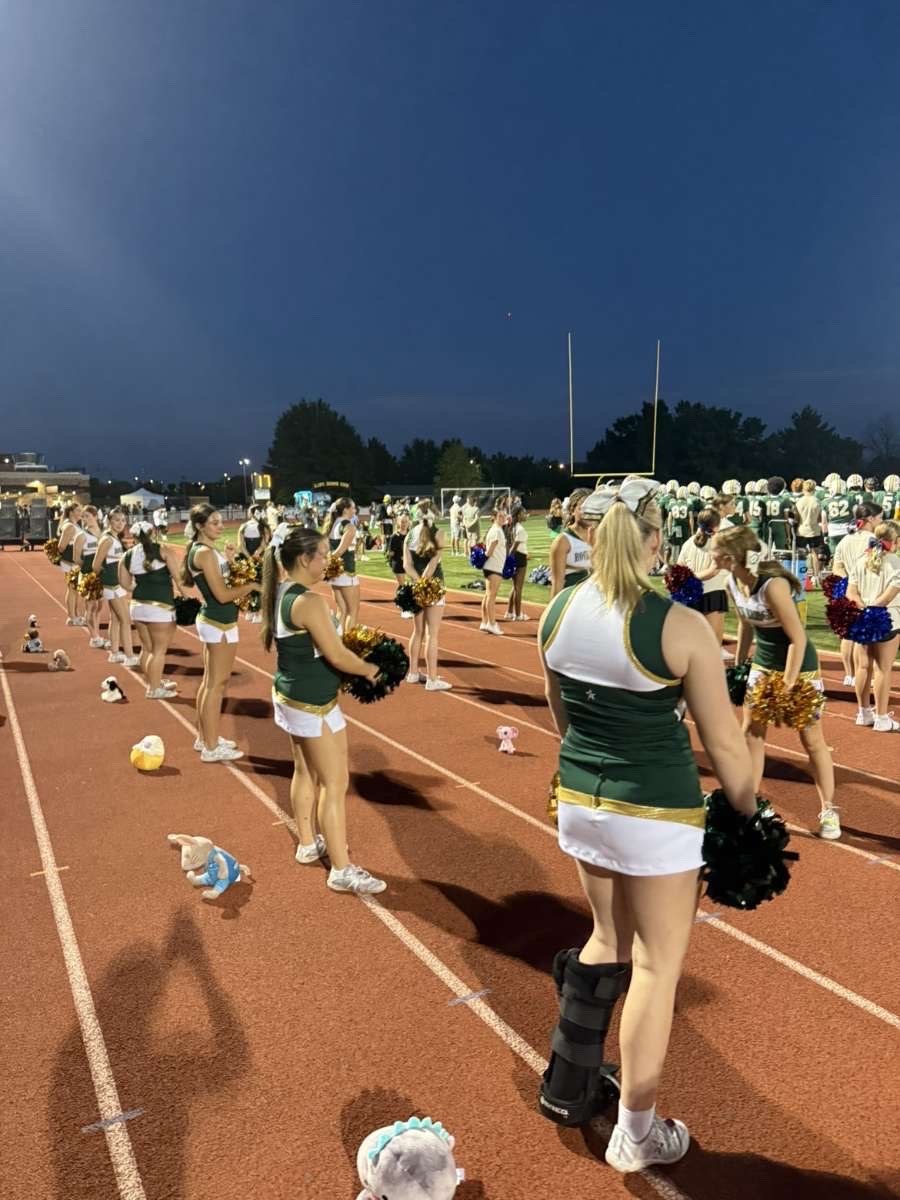Stuffed animal with Rock Bridge Cheer