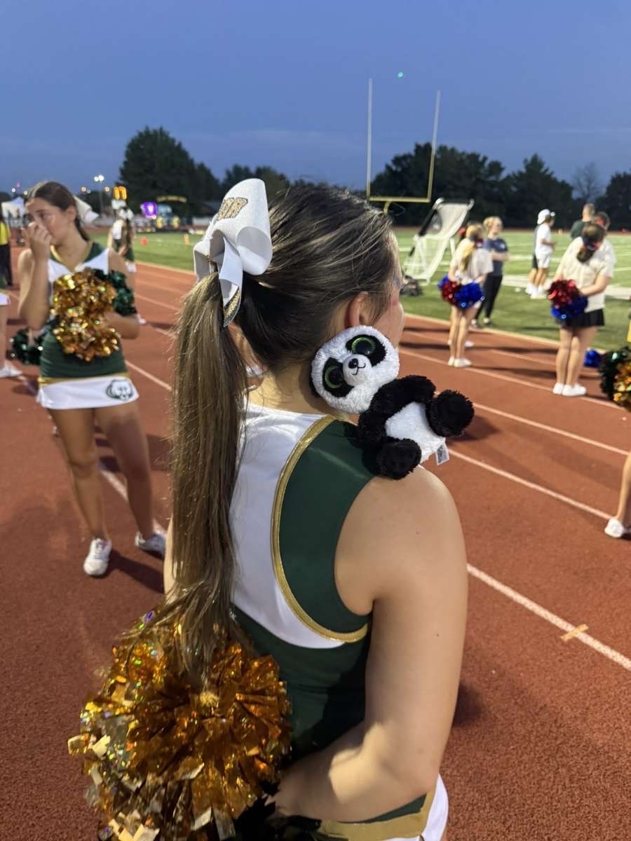 Stuffed animal with Rock Bridge Cheer