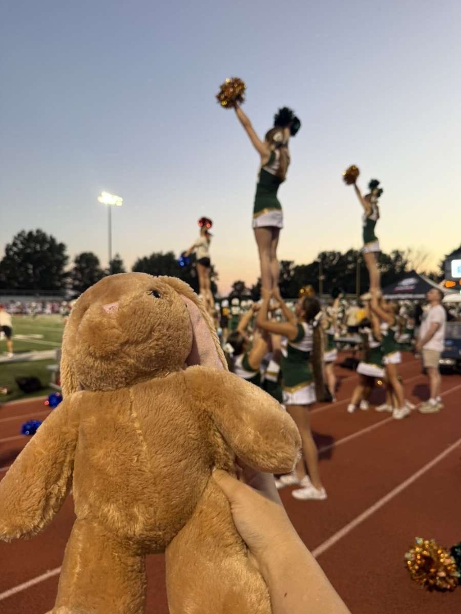 Stuffed animal with Rock Bridge Cheer