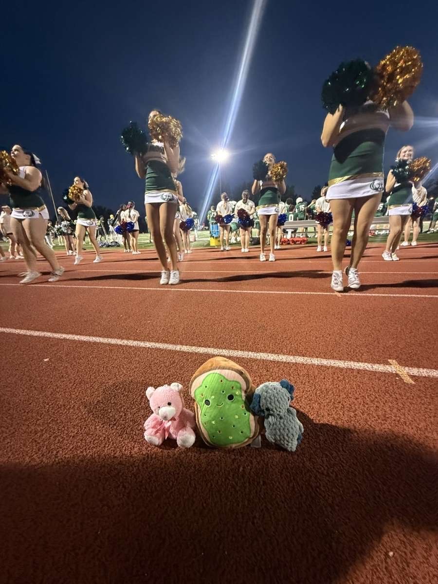Stuffed animal with Rock Bridge Cheer