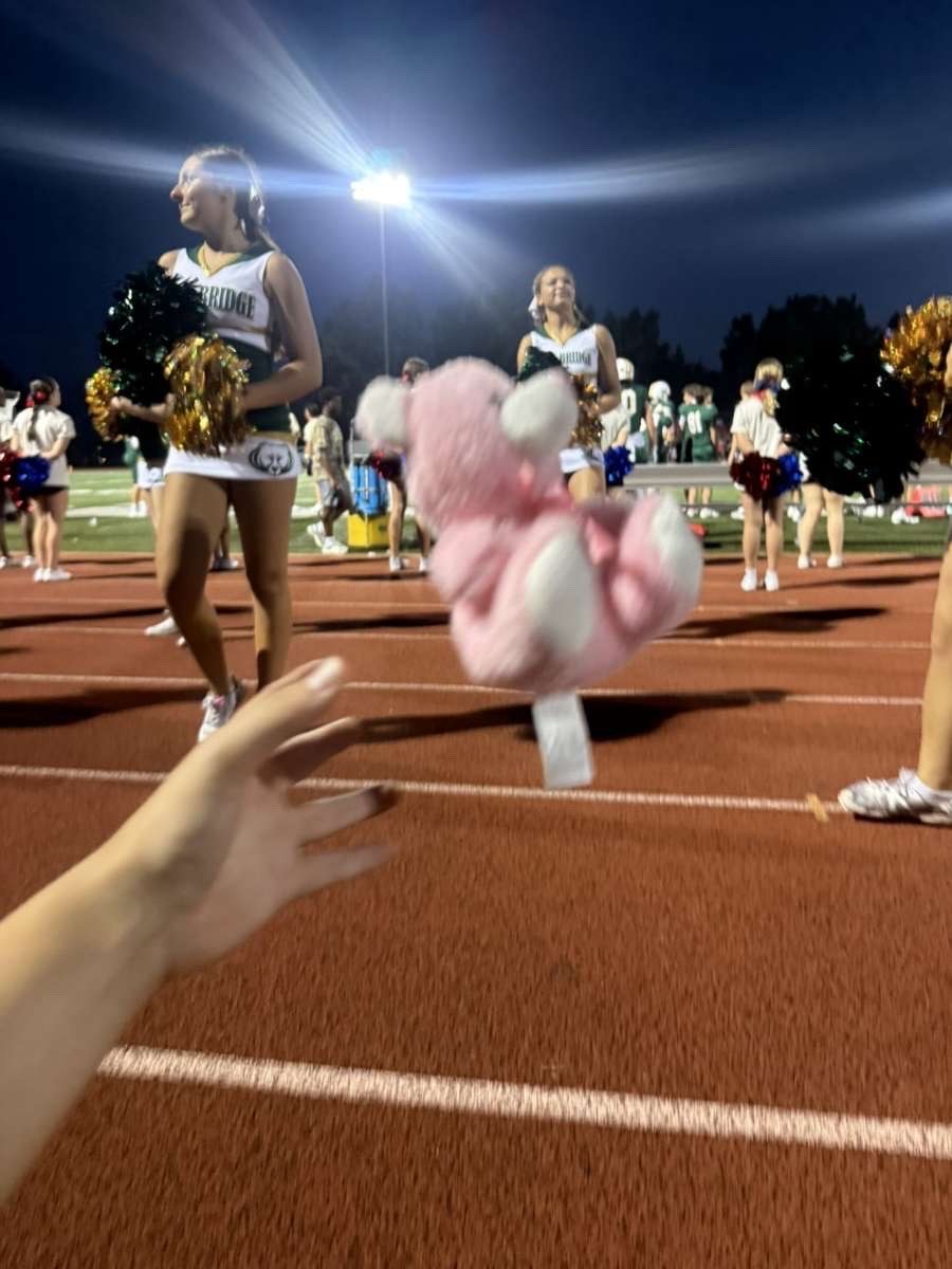Stuffed animal with Rock Bridge Cheer