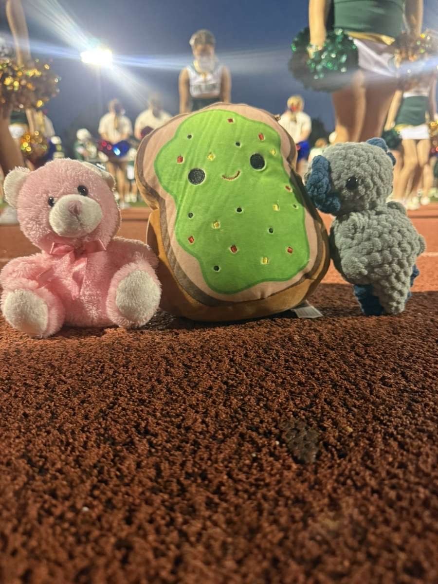 Stuffed animal with Rock Bridge Cheer