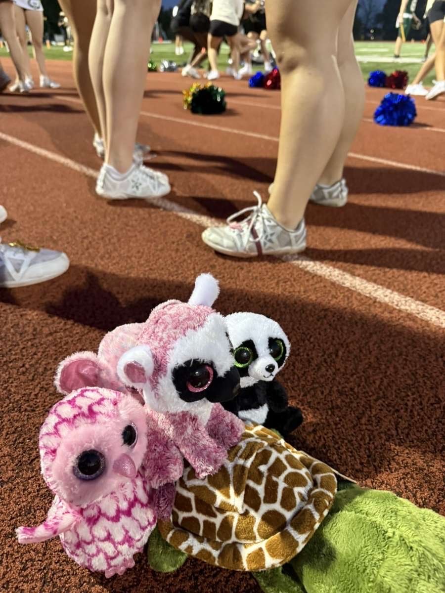 Stuffed animal with Rock Bridge Cheer