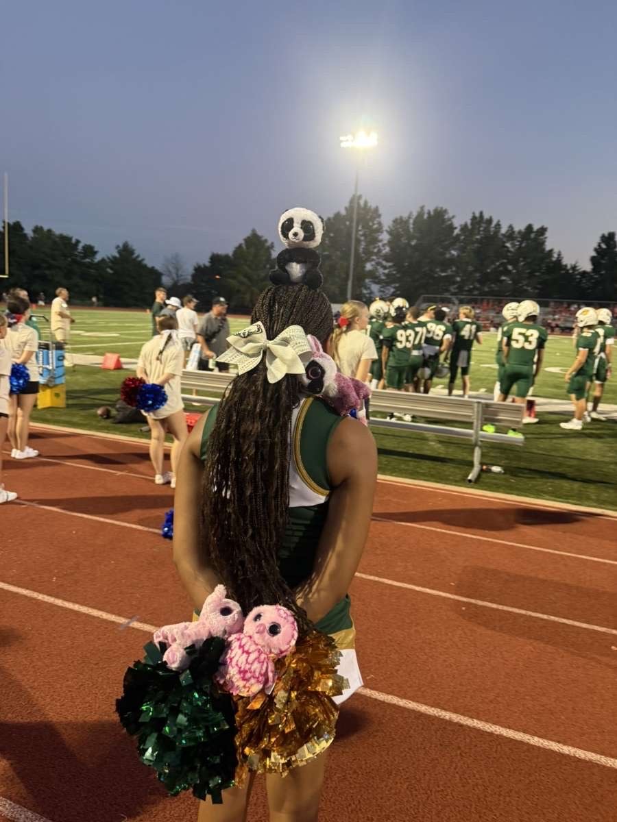 Stuffed animal with Rock Bridge Cheer