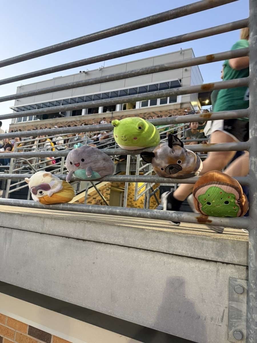 Stuffed animal with Rock Bridge Cheer