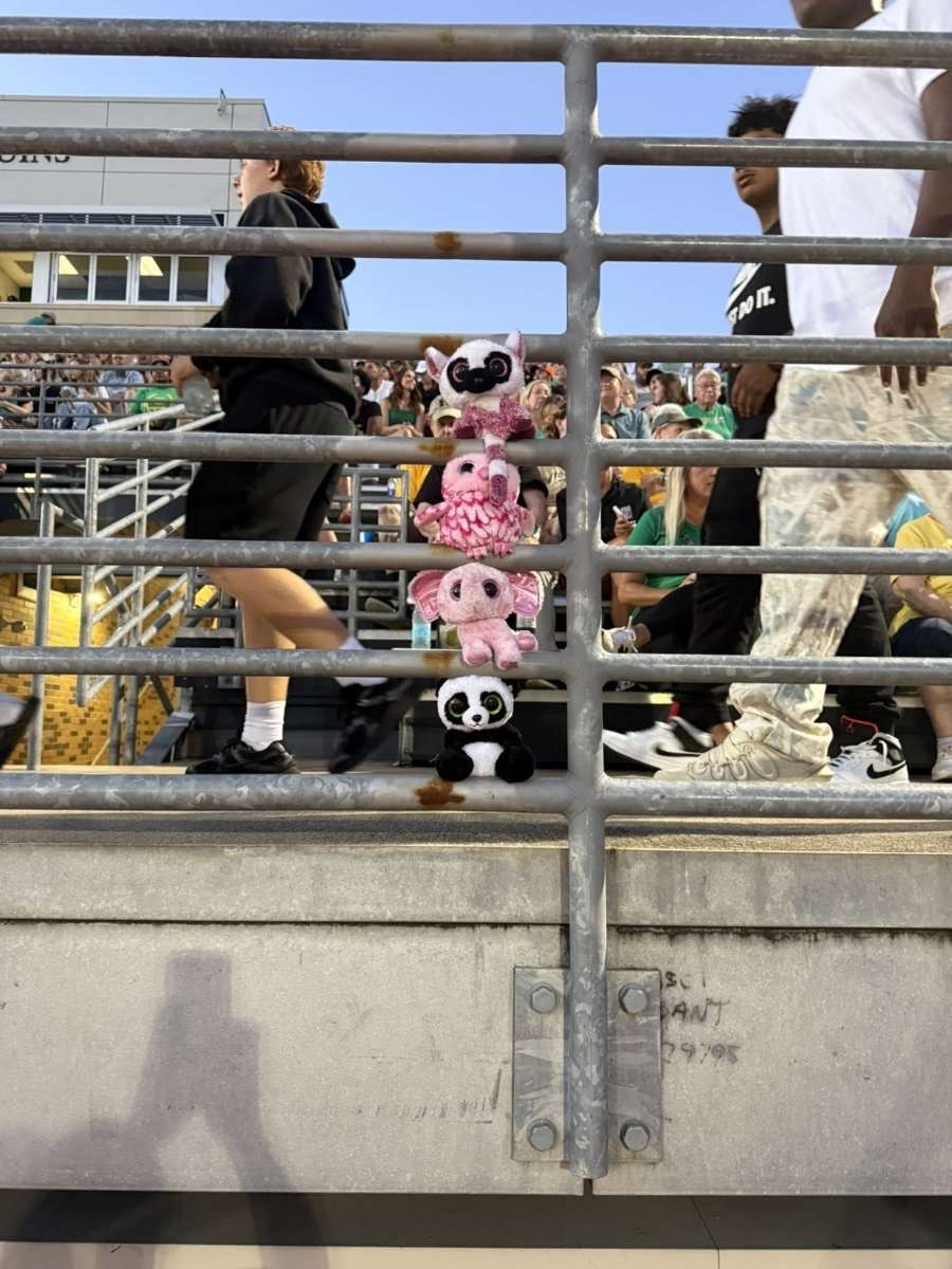 Stuffed animal with Rock Bridge Cheer