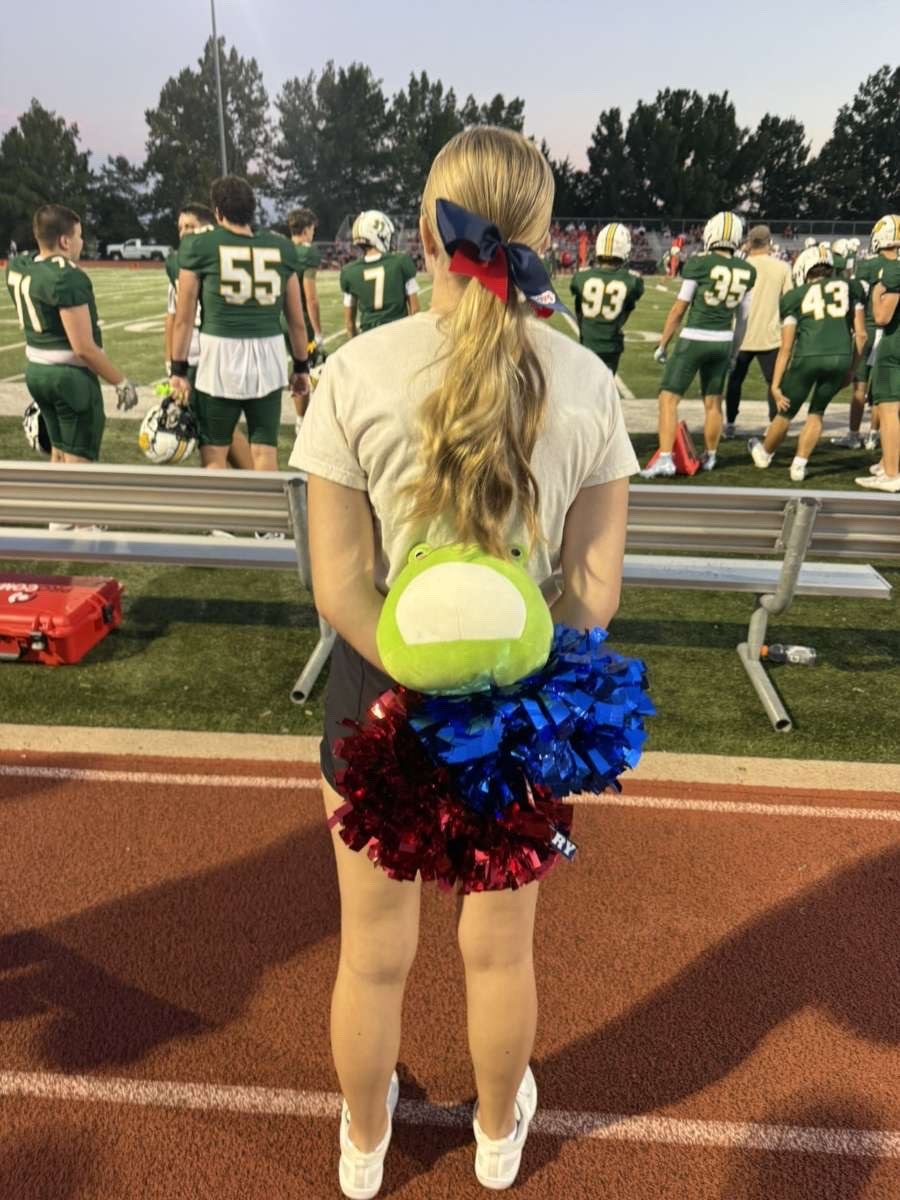 Stuffed animal with Rock Bridge Cheer