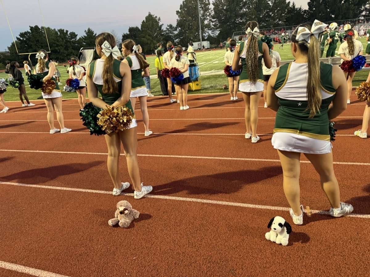 Stuffed animal with Rock Bridge Cheer