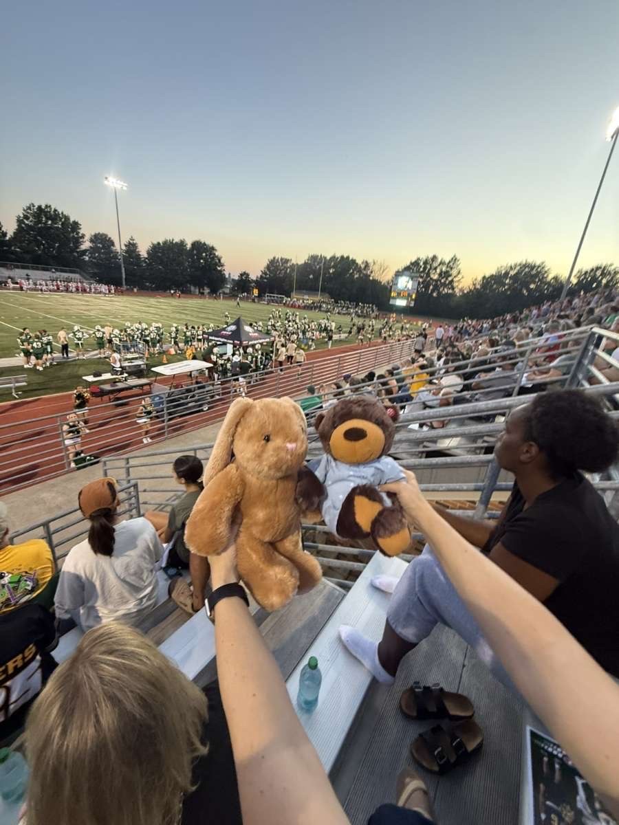 Stuffed animal with Rock Bridge Cheer