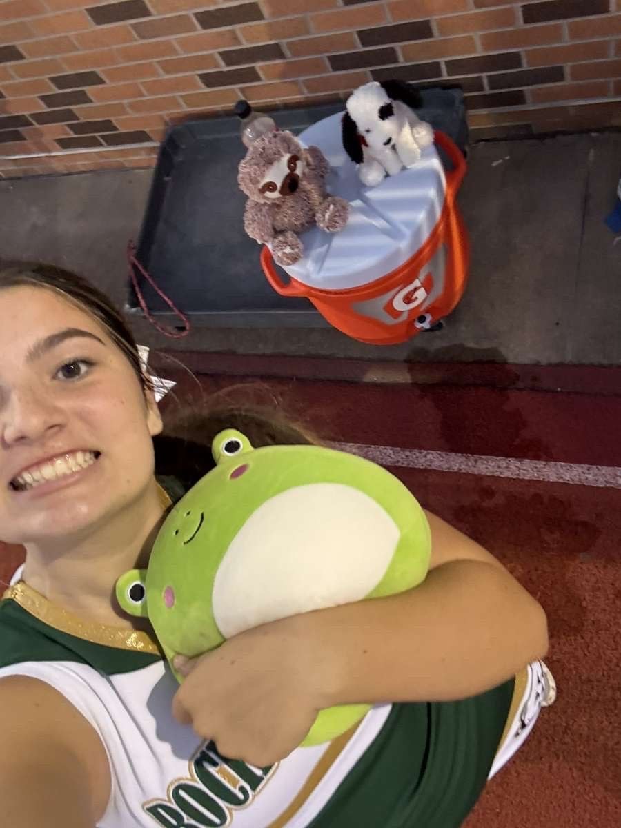 Stuffed animal with Rock Bridge Cheer