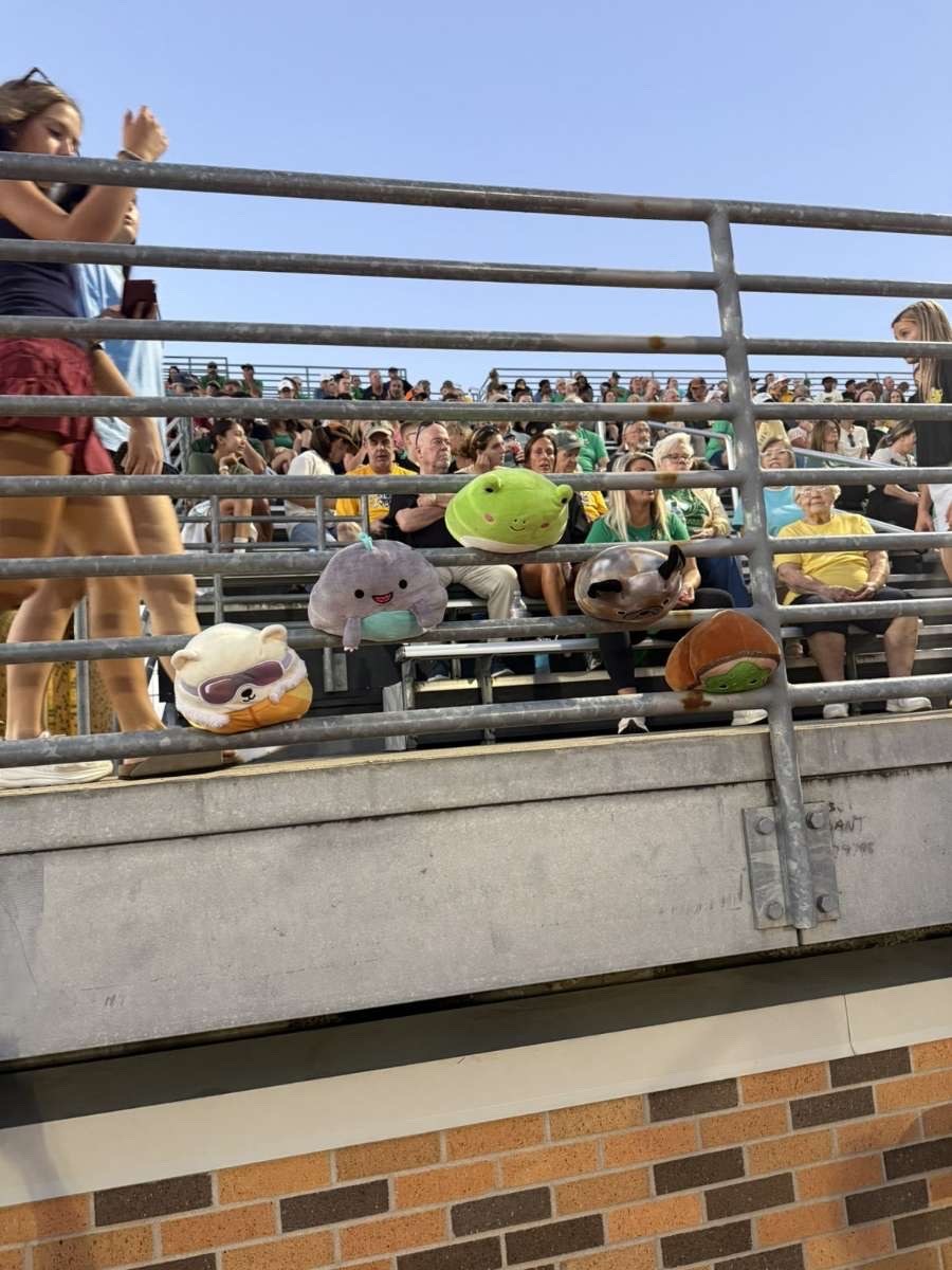 Stuffed animal with Rock Bridge Cheer