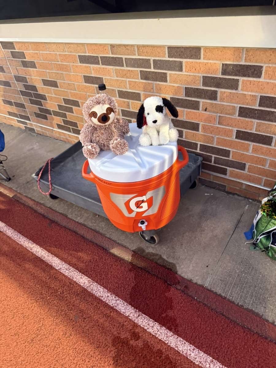 Stuffed animal with Rock Bridge Cheer