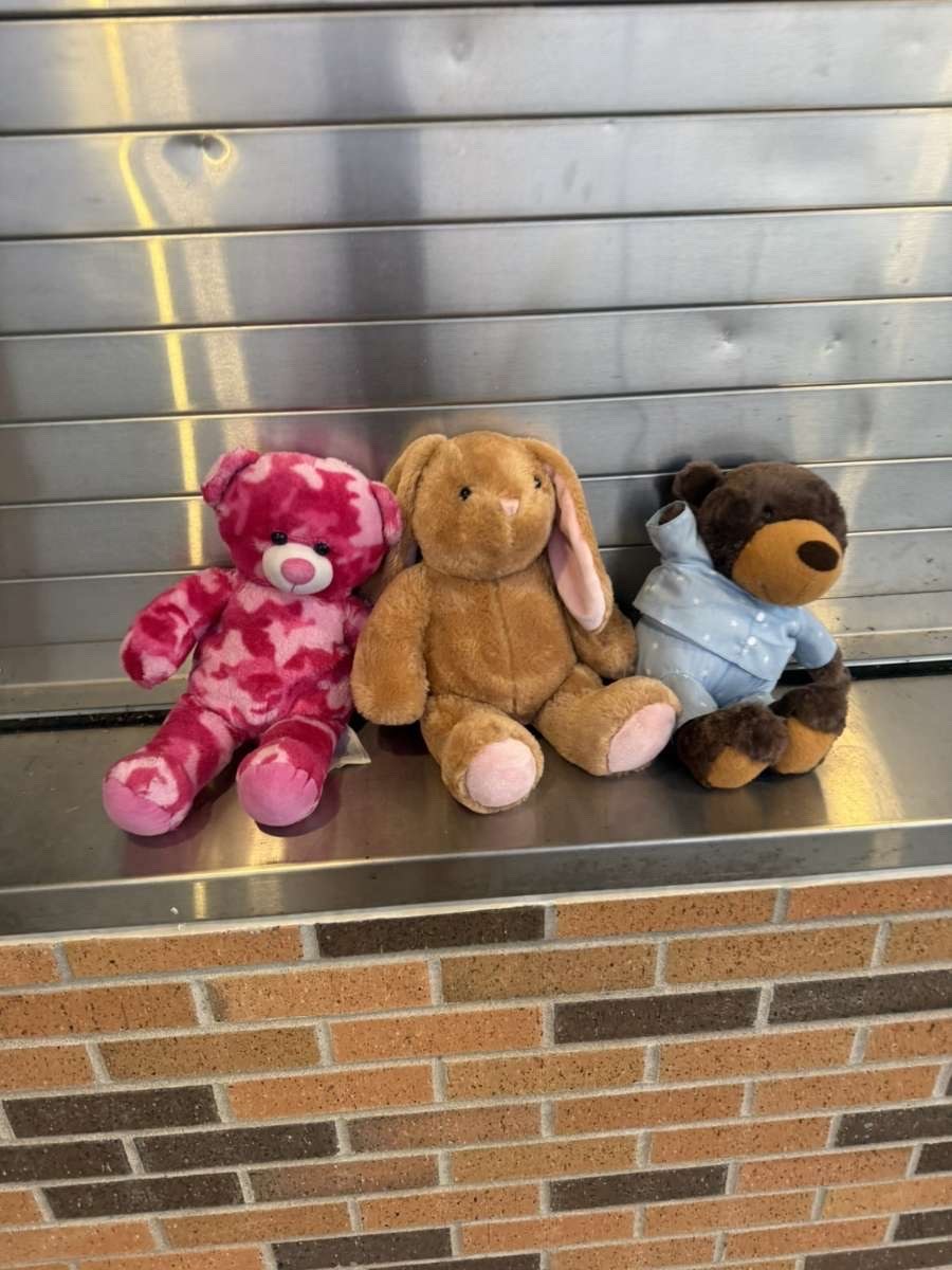 Stuffed animal with Rock Bridge Cheer
