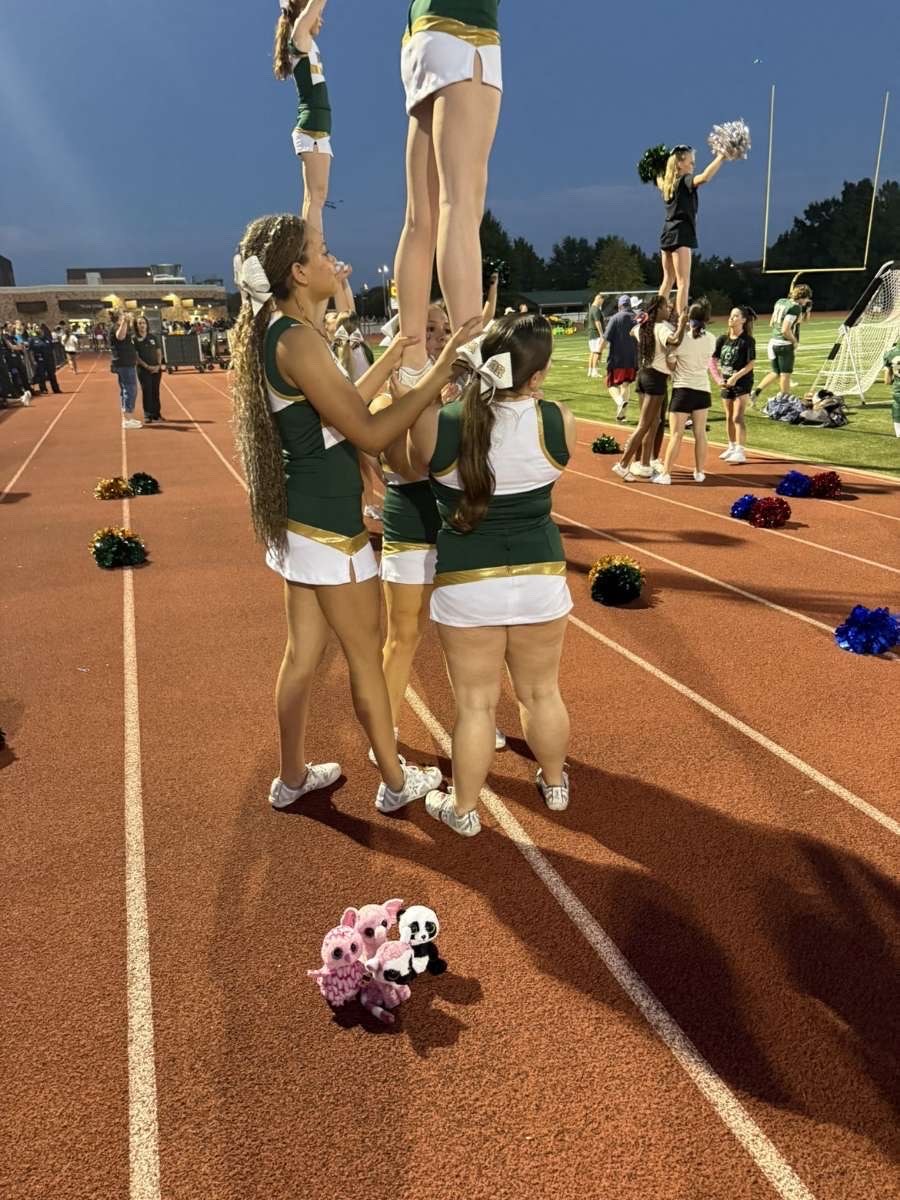 Stuffed animal with Rock Bridge Cheer