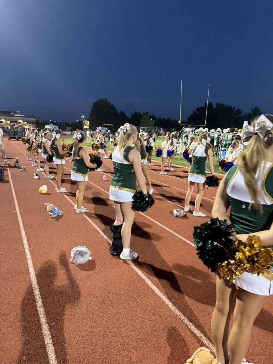 Stuffed animal with Rock Bridge Cheer
