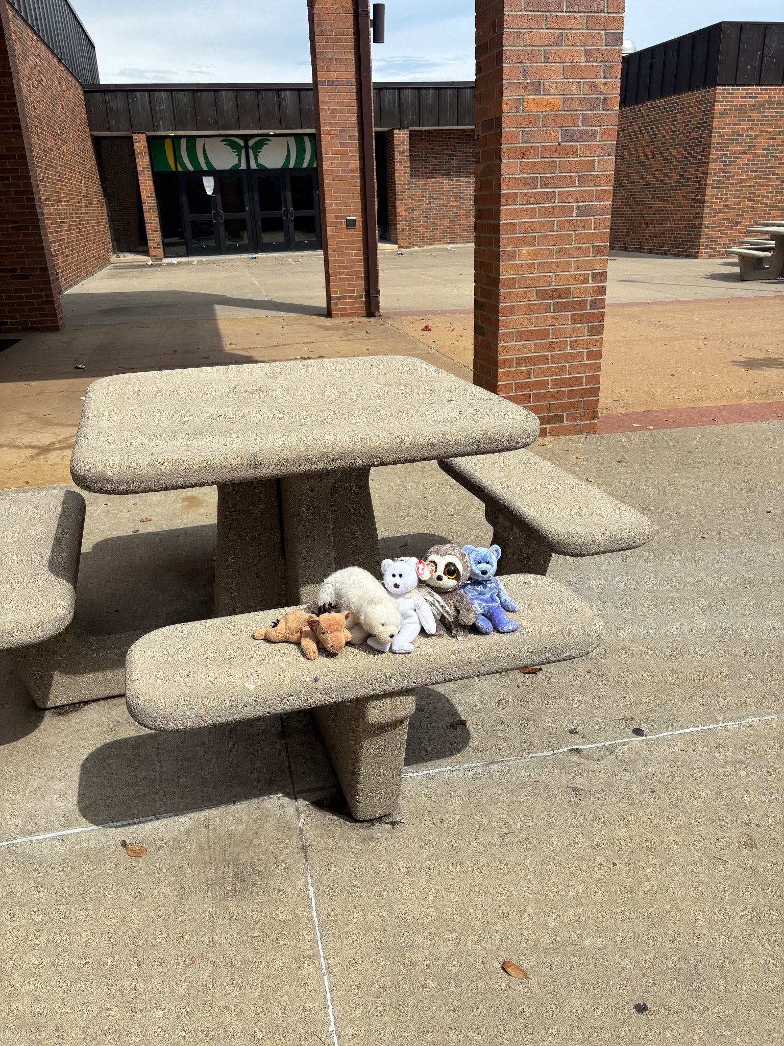 Stuffed animal with Rock Bridge Cheer