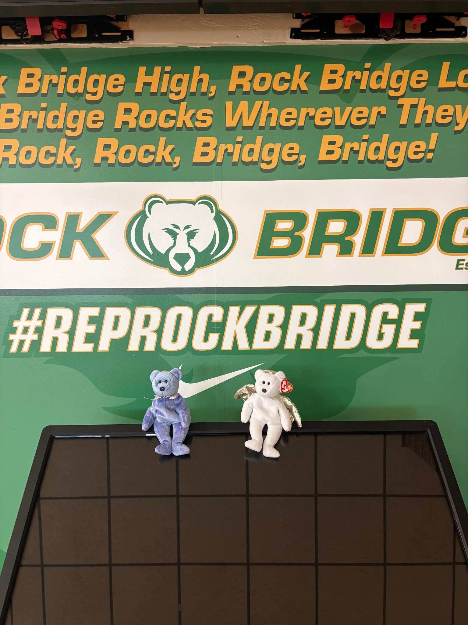 Stuffed animal with Rock Bridge Cheer