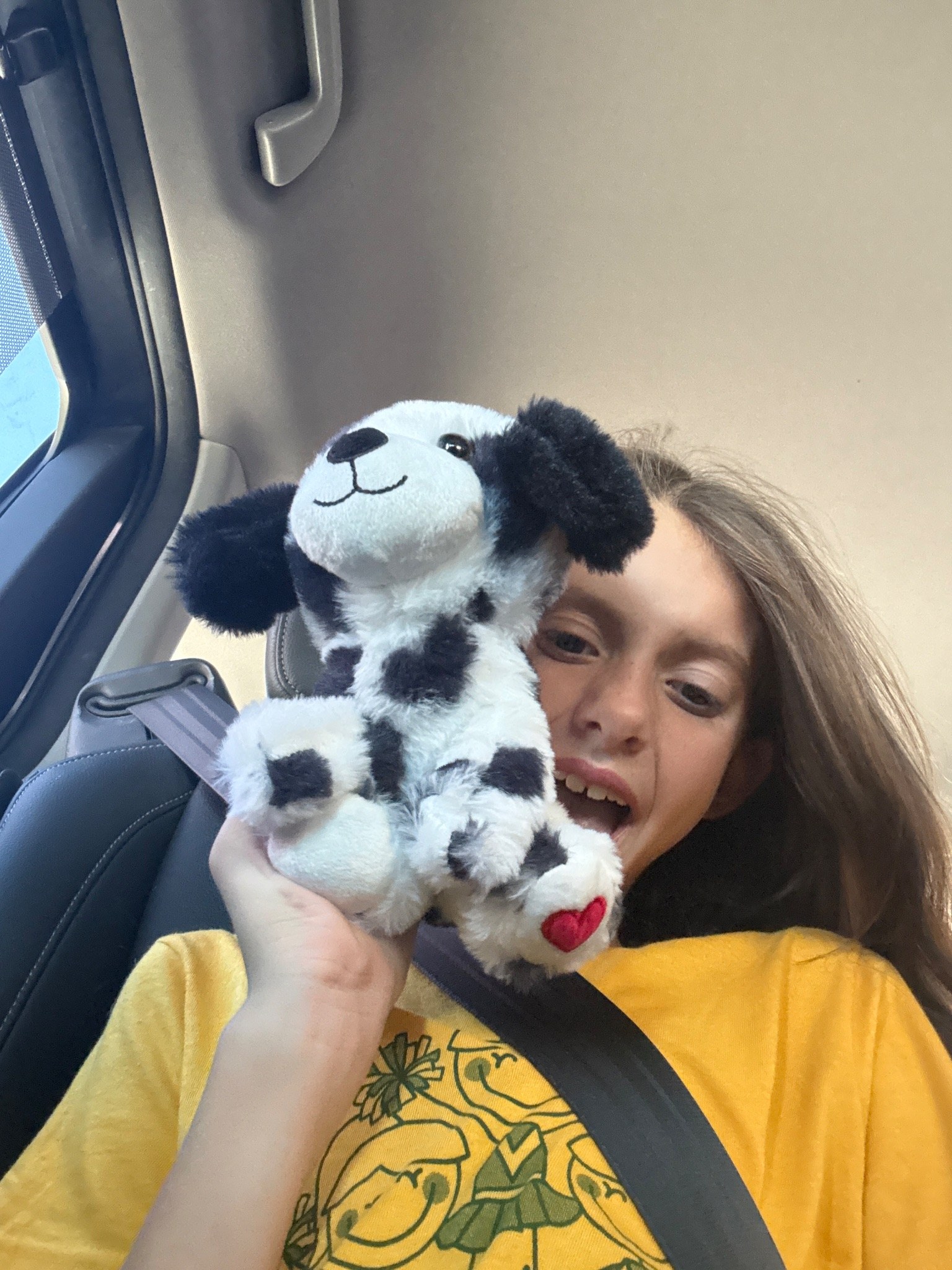 Stuffed animal with Rock Bridge Cheer